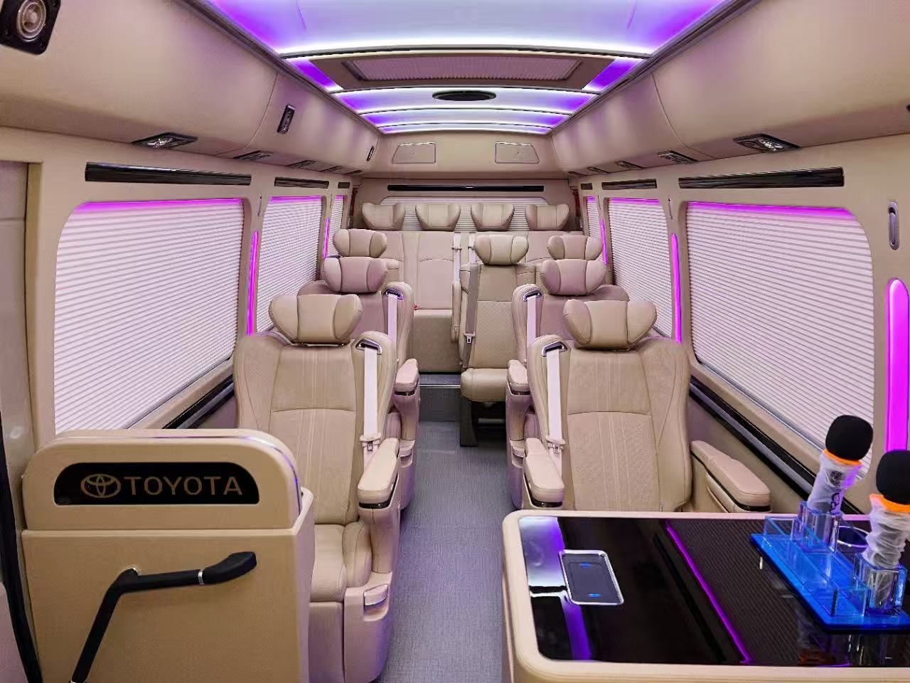 Toyota Coaster (with driver) 4